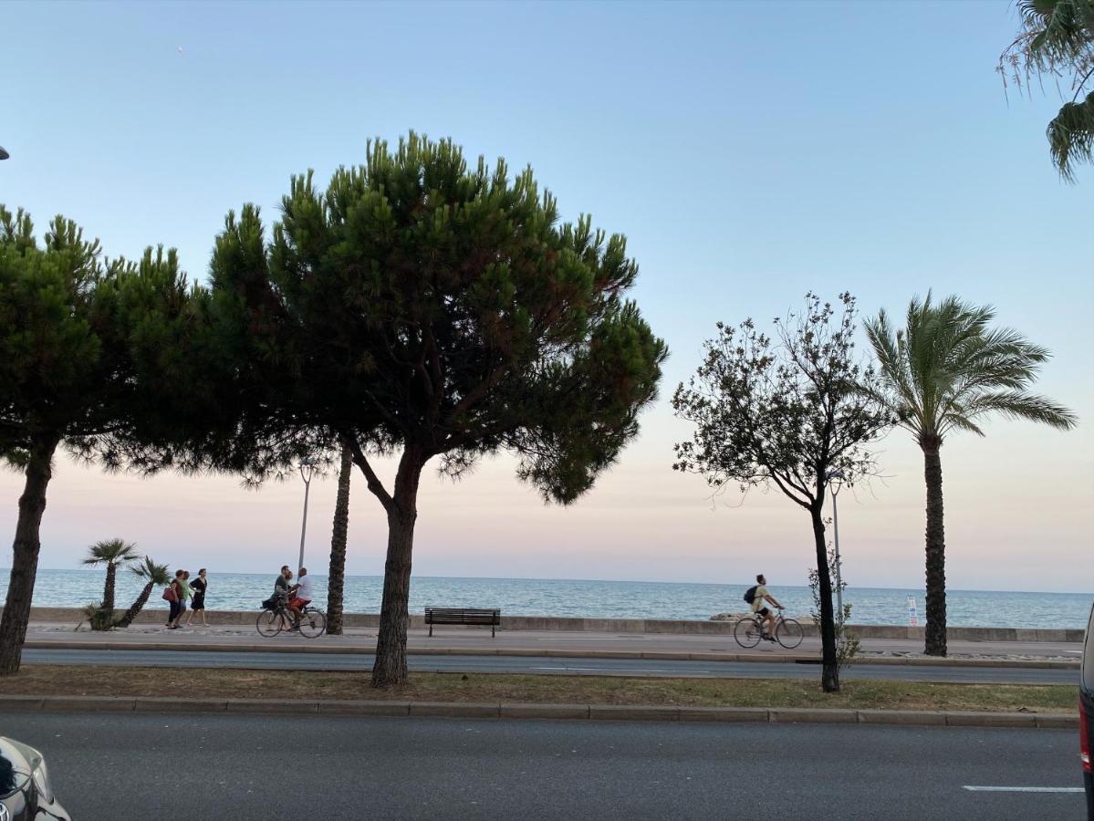 Coquet Logement Front De Mer Καν-συρ-Μερ Εξωτερικό φωτογραφία